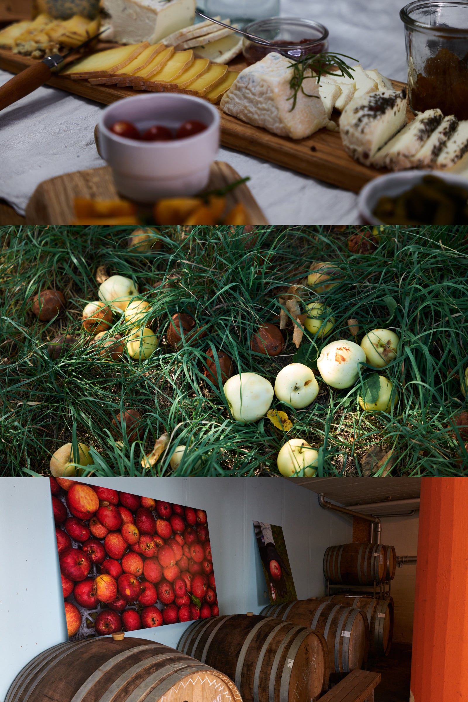 CIDER & MEAD