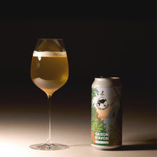 画像をギャラリービューアに読み込む, Saison D'Avon  6.5% 440ml(セゾンダボン)