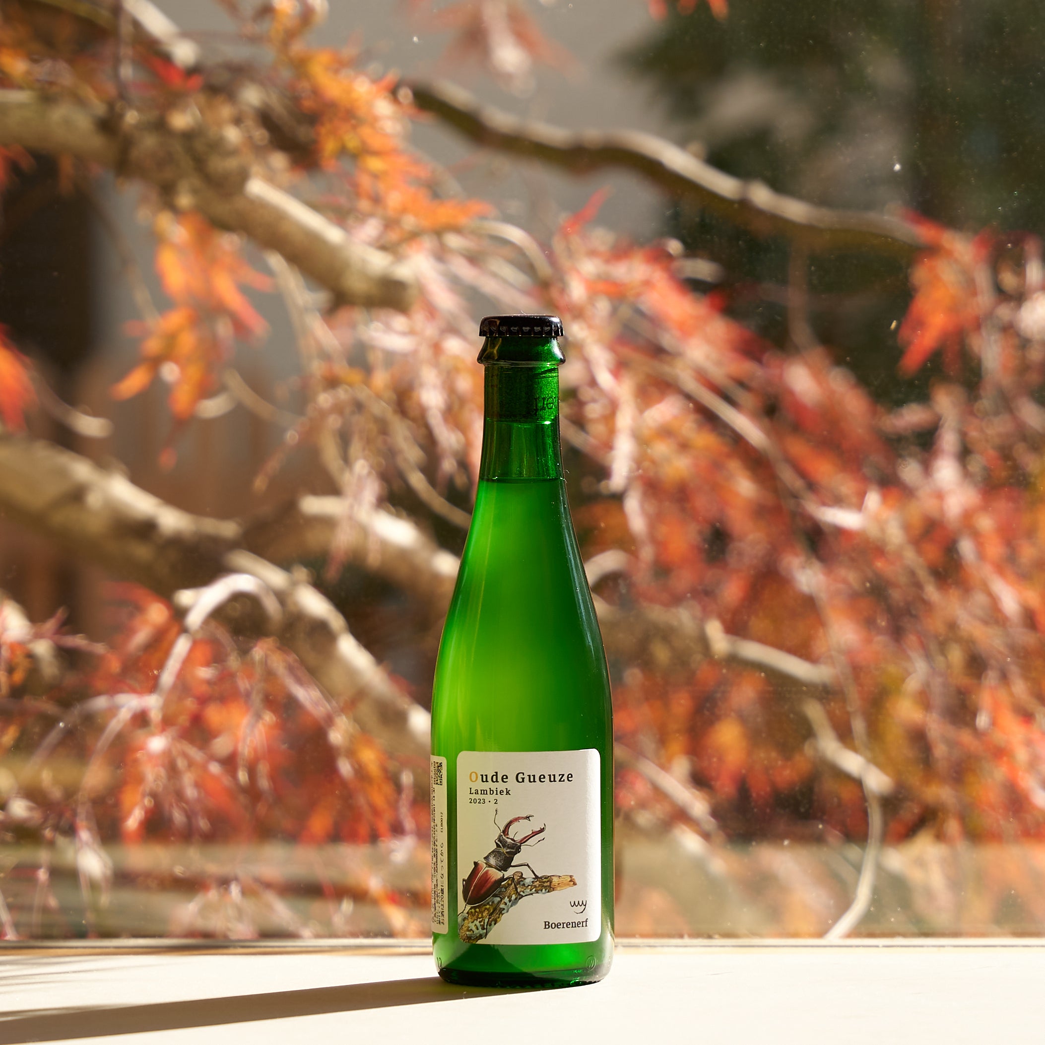 WILD ALE & LAMBIC - DIG THE LINE ONLINE STORE