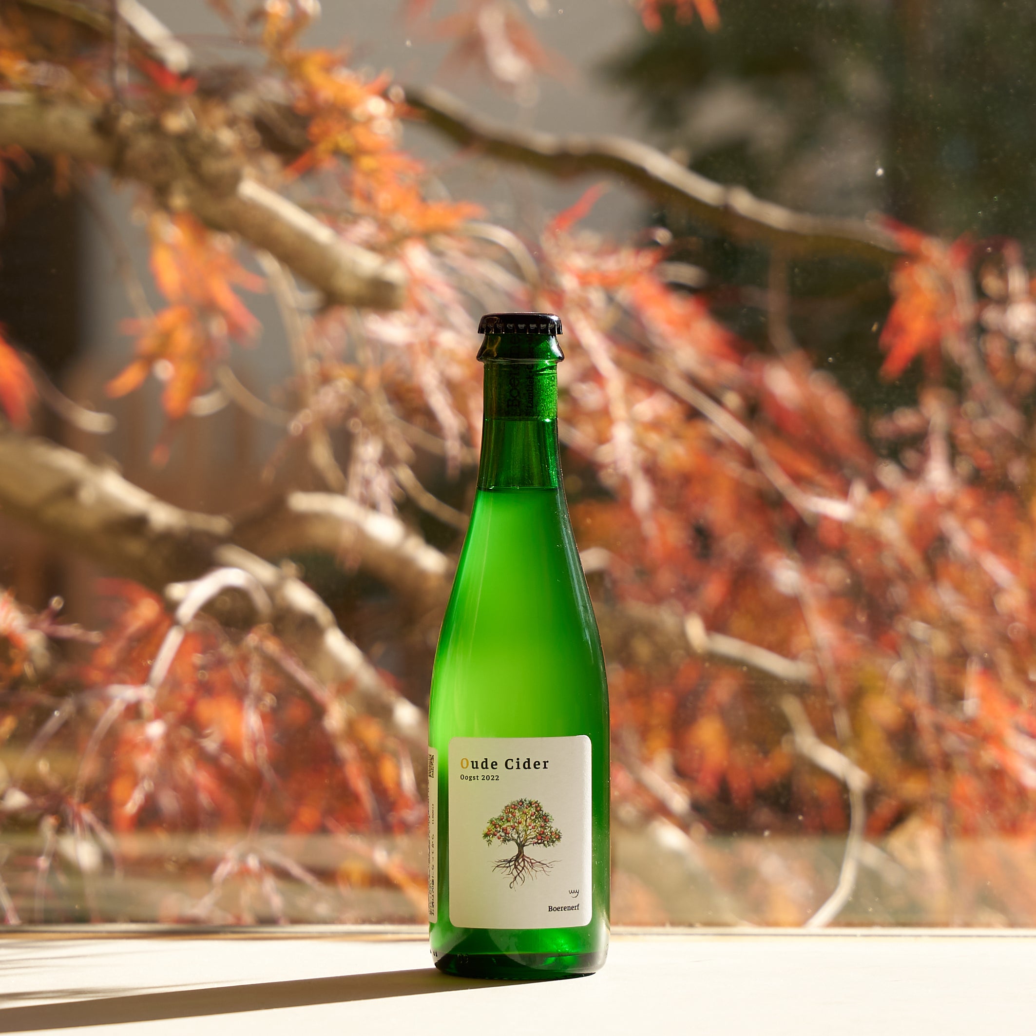WILD ALE & LAMBIC - DIG THE LINE ONLINE STORE