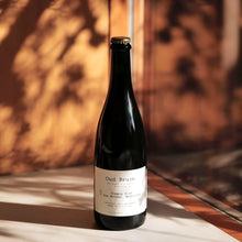 Load image into Gallery viewer, Oud Bruin 7.2% 750ml(アウトブライン)