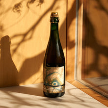 Load image into Gallery viewer, Congruity: Premier Cru 2022 7.4% 750ml(コングルイティ：プルミエ・クリュ 2022)