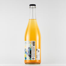 Load image into Gallery viewer, Cider Maybe 2019 6.5% 75cl(サイダーメイビー2019)