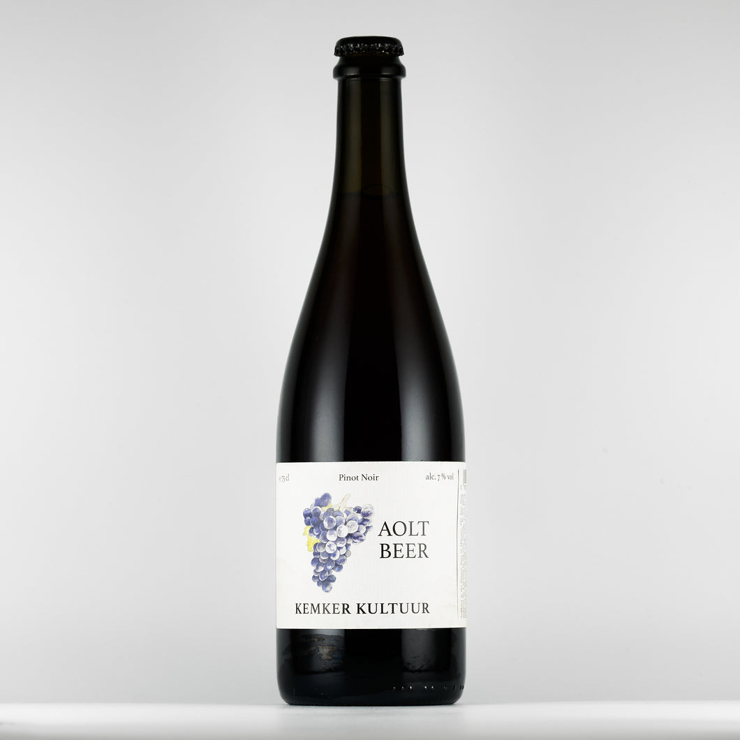 Aoltbeer Blend no.07-2021 Pinot Noir 7% 750ml(アルトビア No.07-2021)